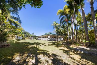 Farm For Sale - QLD - Cootharaba - 4565 - C.1910 Homestead on over 52 Acres  (Image 2)