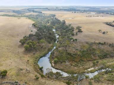 Farm For Sale - VIC - Shelford - 3329 - Absolute river frontage  (Image 2)