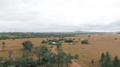 Farm Auction - NSW - Bingara - 2404 - 'Summerdale' 652 Gineroi Road, Gineroi NSW 2404  (Image 2)