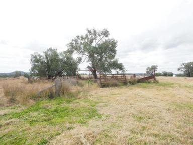 Farm Auction - NSW - Bingara - 2404 - 'Summerdale' 652 Gineroi Road, Gineroi NSW 2404  (Image 2)