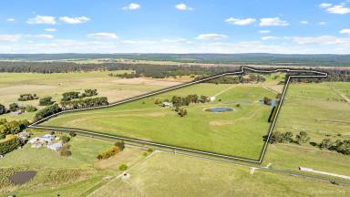 Farm For Sale - VIC - Kilmany - 3851 - “Llamadale” 167 Acres with Latrobe River Frontage  (Image 2)