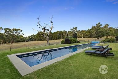 Farm For Sale - VIC - Merricks North - 3926 - Sophisticated Rural Escape  (Image 2)