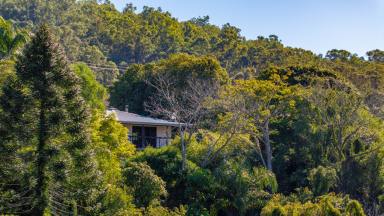 Farm For Sale - QLD - Fishermans Pocket - 4570 - Discover Your Private Lifestyle Paradise  (Image 2)