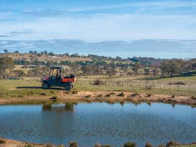 Farm Sold - NSW - Murrumbateman - 2582 - Deceased Estate - 'Runnymede'  (Image 2)