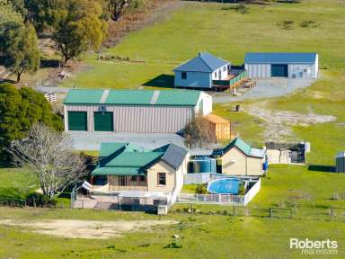 Farm For Sale - TAS - Exeter - 7275 - 2 Dwellings on 20 Acres  (Image 2)