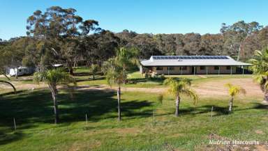 Farm Sold - WA - Bindoon - 6502 - Rural Retreat on just under 4 acres in Bindoon.  (Image 2)