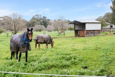 Farm For Sale - WA - Chidlow - 6556 - Equine Heaven On a Lush 40 Acres Steeped in History  (Image 2)