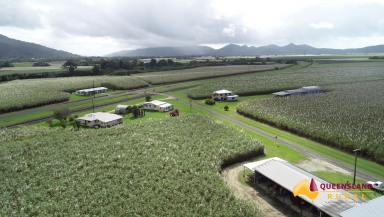 Farm For Sale - QLD - Mirriwinni - 4871 - Large Scale North Qld Coastal Cane Farming and Grazing Operation  (Image 2)