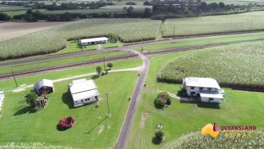 Farm For Sale - QLD - Mirriwinni - 4871 - Large Scale North Qld Coastal Cane Farming and Grazing Operation  (Image 2)