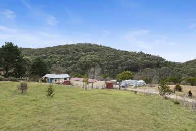 Farm Sold - NSW - Goulburn - 2580 - Quiet & Private  (Image 2)