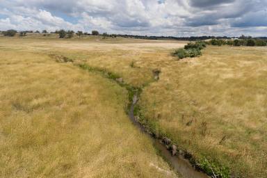 Farm For Sale - NSW - Orange - 2800 - "The Valley" 146 acres, 12 kilometres to Orange  (Image 2)