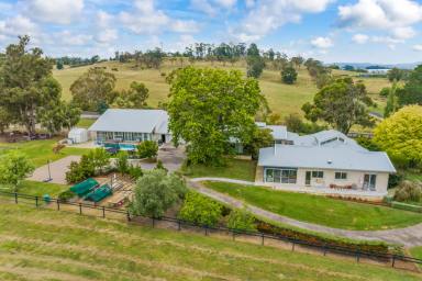 Farm For Sale - NSW - Orange - 2800 - Stunning, expansive family home in a tranquil rural setting  (Image 2)