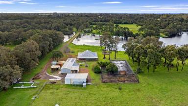 Farm For Sale - WA - Vasse - 6280 - Rare 40ac Rural Busselton  (Image 2)