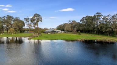 Farm For Sale - WA - Vasse - 6280 - Rare 40ac Rural Busselton  (Image 2)