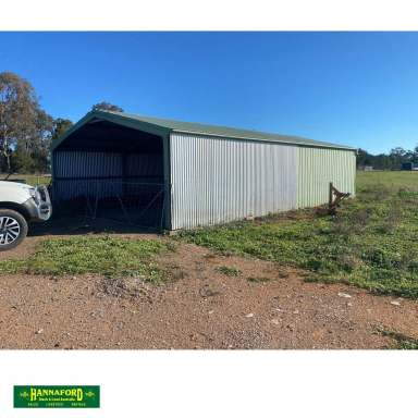 Farm For Sale - NSW - Forbes - 2871 - "MOWBRAY"  (Image 2)