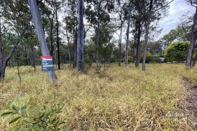 Farm For Sale - QLD - Glenwood - 4570 - THEY DON'T LAST LONG!  (Image 2)