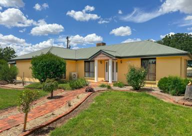 Farm Auction - NSW - West Wyalong - 2671 - Experience Serene Country Living  (Image 2)