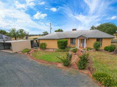 Farm Auction - NSW - West Wyalong - 2671 - Experience Serene Country Living  (Image 2)