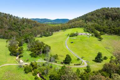 Farm For Sale - NSW - Cobargo - 2550 - Rural Dream  (Image 2)