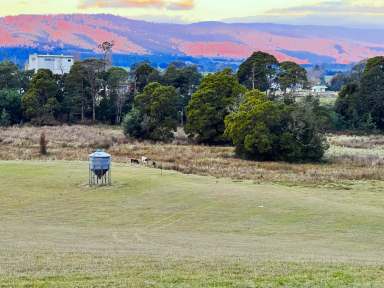 Farm For Sale - TAS - Legerwood - 7263 - Magnificent Off Grid Family Home on 31 Acres. Spring Fed Creek and dams, Huge Shed, Potential Income.  (Image 2)