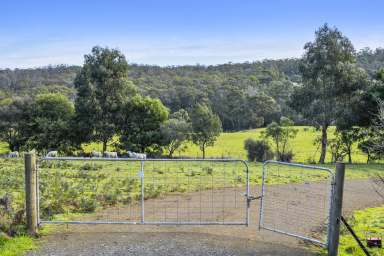 Farm For Sale - TAS - Nubeena - 7184 - Exceptional Land Opportunity in Nubeena  (Image 2)