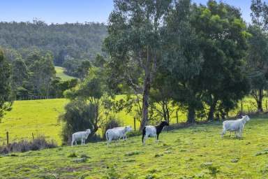 Farm For Sale - TAS - Nubeena - 7184 - Exceptional Land Opportunity in Nubeena  (Image 2)