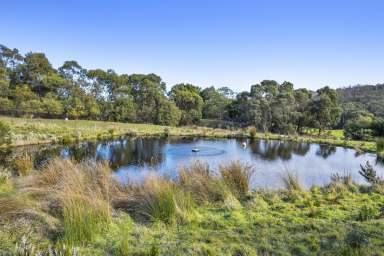 Farm For Sale - TAS - Nubeena - 7184 - Exceptional Land Opportunity in Nubeena  (Image 2)