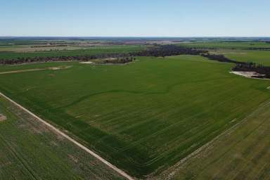 Farm For Sale - WA - Gnowangerup - 6335 - Russ' Block  (Image 2)