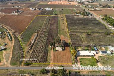 Farm For Sale - VIC - Nichols Point - 3501 - Nichols Point Investment Opportunity - 4.56Ha  (Image 2)