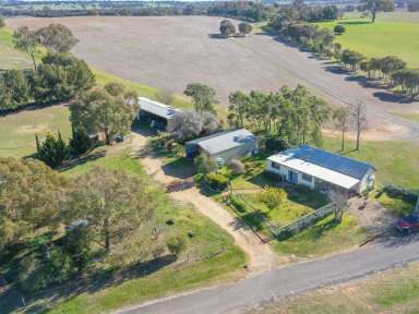 Farm Sold - NSW - Young - 2594 - Country Cottage With Town Water On 10acs*  (Image 2)