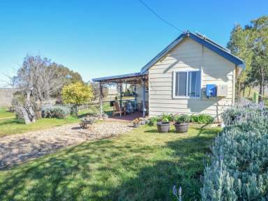 Farm Sold - NSW - Young - 2594 - Country Cottage With Town Water On 10acs*  (Image 2)