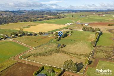 Farm For Sale - TAS - North Motton - 7315 - Private Piece of Paradise!  (Image 2)