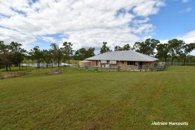 Farm For Sale - QLD - Bungadoo - 4671 - 126 Cultivated Acres - Modern Brick Home - Burnett River Frontage  (Image 2)