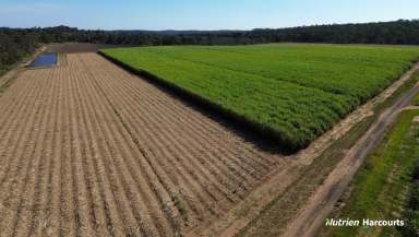 Farm For Sale - QLD - Bungadoo - 4671 - 126 Cultivated Acres - Modern Brick Home - Burnett River Frontage  (Image 2)