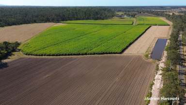 Farm For Sale - QLD - Bungadoo - 4671 - 126 Cultivated Acres - Modern Brick Home - Burnett River Frontage  (Image 2)