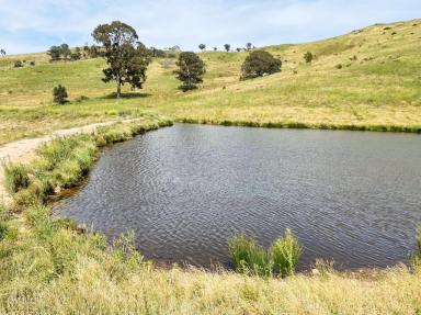 Farm For Sale - NSW - Bannaby - 2580 - 100 ACRES, PERFECT WEEKENDER GETAWAY PROPERTY + GRAZING POTENTIAL , PEACE, QUIET, VIEWS, CREEK, DAMS,  (Image 2)