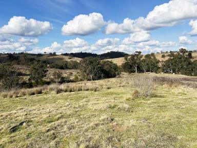 Farm For Sale - NSW - Bannaby - 2580 - 100 ACRES, PERFECT WEEKENDER GETAWAY PROPERTY + GRAZING POTENTIAL , PEACE, QUIET, VIEWS, CREEK, DAMS,  (Image 2)