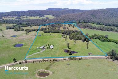 Farm For Sale - NSW - Bunyah - 2429 - Manning Hill Cottage  (Image 2)