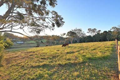 Farm For Sale - QLD - Tamborine Mountain - 4272 - Rare Opportunity for 20 Acre Parcel of Prime Farming Land  (Image 2)