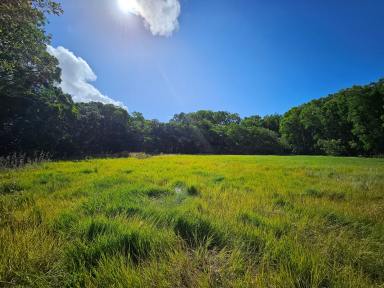 Farm For Sale - QLD - Cooktown - 4895 - I Acre, Natural Beauty & Clearing to Build  (Image 2)