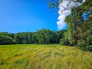 Farm For Sale - QLD - Cooktown - 4895 - I Acre, Natural Beauty & Clearing to Build  (Image 2)