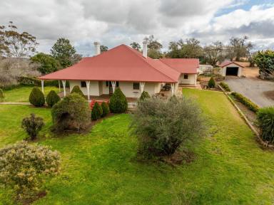 Farm For Sale - NSW - Wagga Wagga - 2650 - "TALAWONG". QUALITY RED LOAM ROLLING COUNTRY 1765 ac (714 ha)  (Image 2)