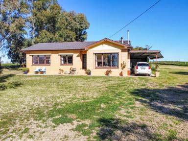 Farm For Sale - VIC - Beverford - 3590 - Country Living  (Image 2)