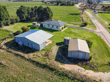 Farm For Sale - VIC - Beverford - 3590 - Green Acres  (Image 2)