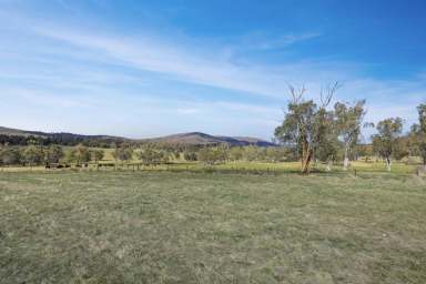 Farm For Sale - VIC - Benambra - 3900 - Woop Woop  (Image 2)