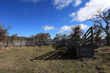 Farm For Sale - VIC - Benambra - 3900 - Woop Woop  (Image 2)