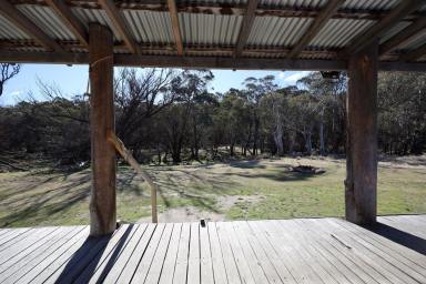 Farm For Sale - VIC - Benambra - 3900 - 'Meringo'  (Image 2)