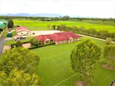 Farm Sold - QLD - Mareeba - 4880 - COUNTRY ACRES WITH LUXURY LIFESTYLE  (Image 2)