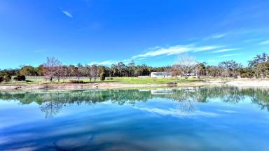 Farm Auction - WA - Brookhampton - 6239 - UNDER OFFER  (Image 2)