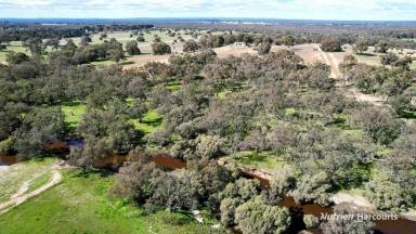 Farm For Sale - WA - Cowalla - 6503 - 85 acres backing onto Moore River & Karakin Brook  (Image 2)